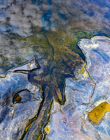 Potrocks Tadpoles sm