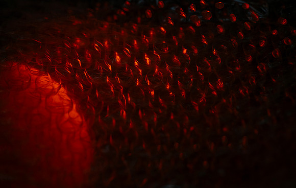 _DSC9594 V1 sm