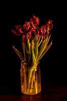 _DSC9213 v1 sm