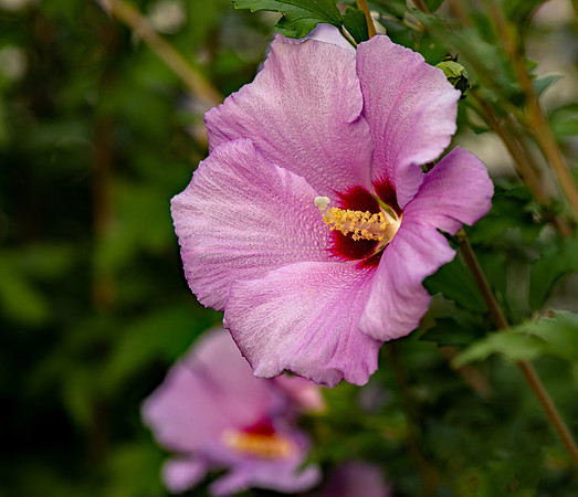 _DSC8258 v2 sm