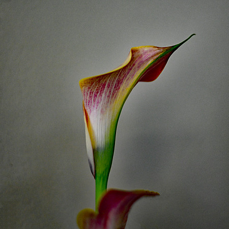 DSC_0030 sm