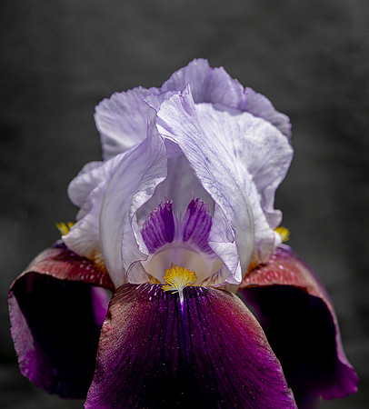 _DSC9725 v1 sm