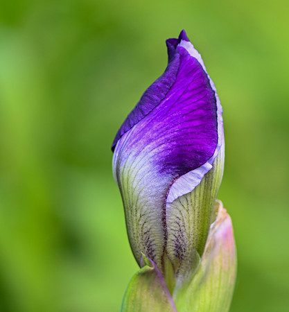 DSC_3355 v1