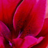 DSC_4140 v5