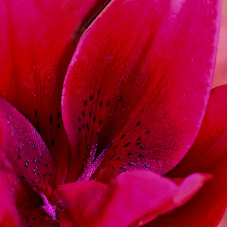 DSC_4140 v5