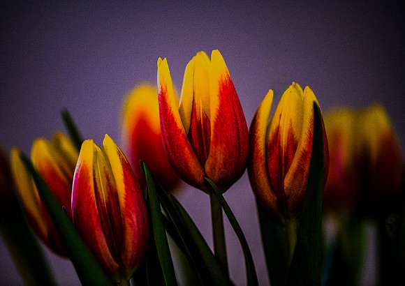 _DSC9360 v1 sm
