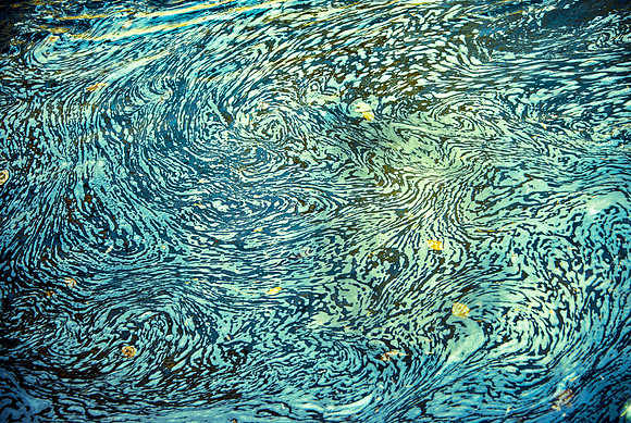 Gunpowder van Gough - Harford County, MD 2023, $165 for Print only