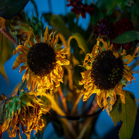 _DSC9822 v1 sm