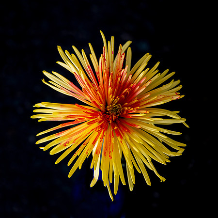 E_DSC0943 sm