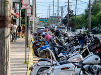 DSC_7177 v1 sm
