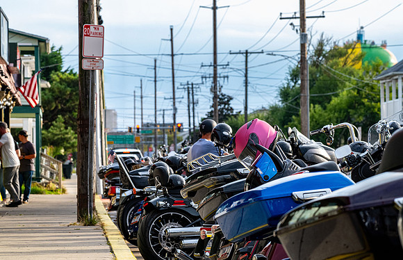 DSC_7181 v1 sm