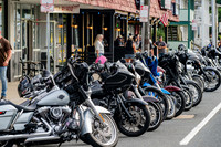 DSC_7186 v1 sm