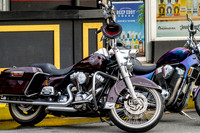DSC_7209 v1 sm