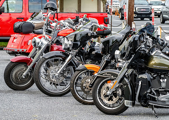 DSC_7214 v1 sm