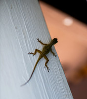 MikeEubanks10