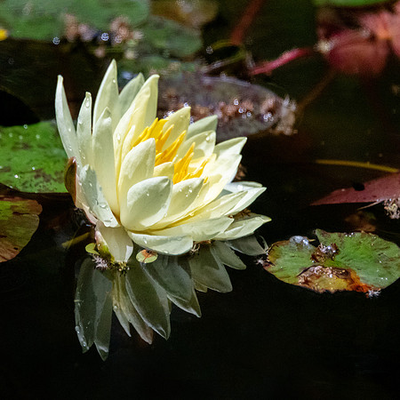 _DSC1333 mod 1 IG