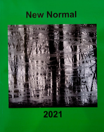 New Normal cover