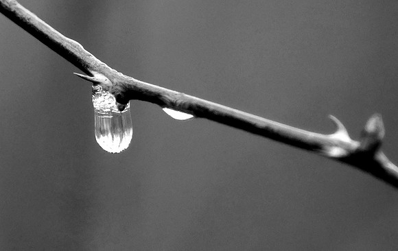 Mike_Eubanks_Frozen Water Drop