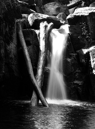 Mike_Eubanks_Little Falls Oregon