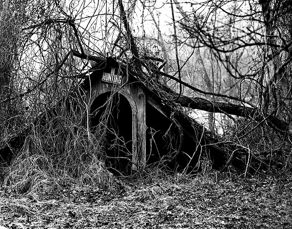 No Hunting - Baltimore County, MD 2020 Published in Shots Magazine, Issue 148, Summer 2020 Limited Edition of 15 (2 Artist's Proofs) $135 matted and framed