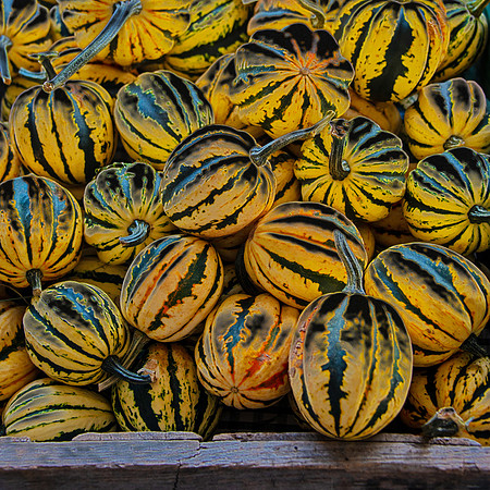 Electric Melons - Whitehall, MD 2021 $190 matted and framed
