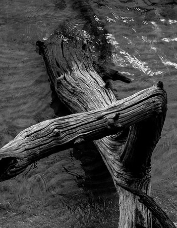 _DSC9054 mod 1 Driftwood elbow ws