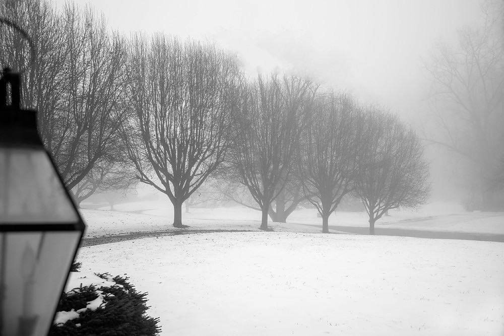 _DSC9122 mod2 BnW ws
